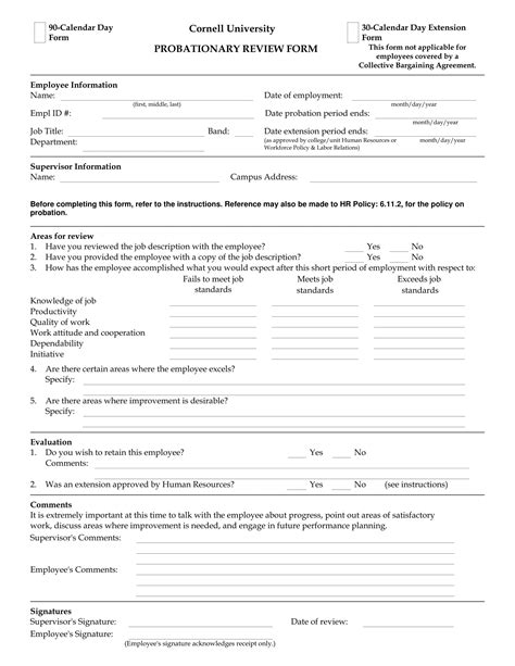 90 Day Probation Period Template