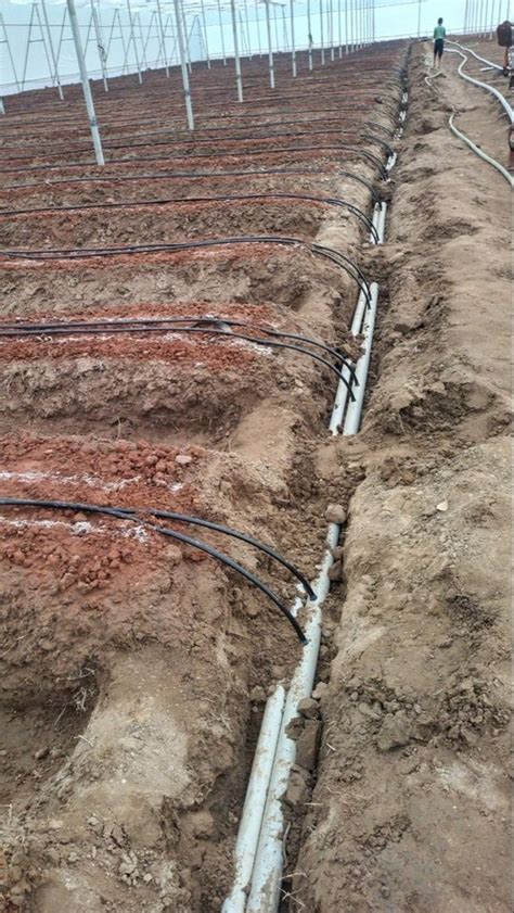 Drip Irrigation System Installation Services in Raipur, Farmasia Agritec LLP | ID: 26438749848