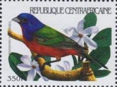 Stamp Painted Bunting Passerina Ciris Central African Republic