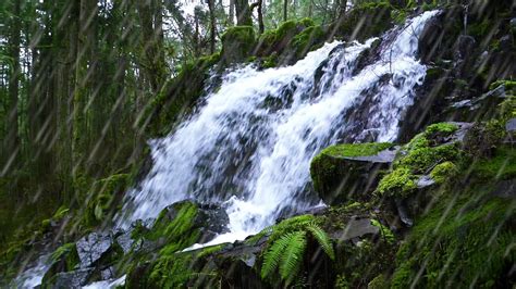 Waterfall Rain Sounds In Peaceful Forest Relax Or Study To Water