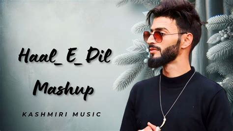 Haal E Dil Mashup Slowed Reverb Maahi Aamir Kashmiri New Song 2023