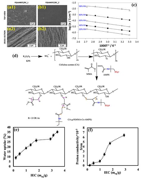 Polymers Free Full Text Recent Developments On Bioinspired