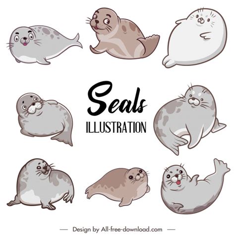 Cute Seal Drawing