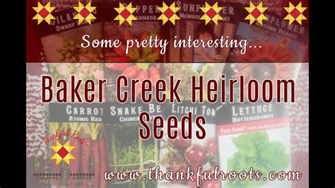 Seed Order From Baker Creek Heirloom Seeds GARDEN PLANNING 2021