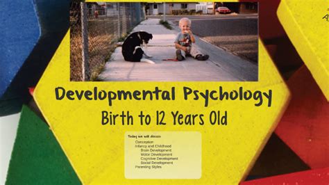 Developmental Psychology By Jason Whetten On Prezi