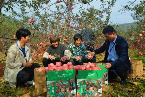 泰安市纪委监委网站 省纪委重点新闻 中国纪检监察杂志丨山东：聚焦四项重点民生领域监督再出发