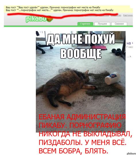 Fuck you pi Пикабу