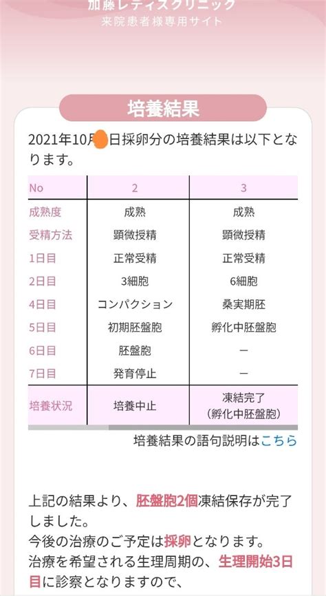 【不妊治療振り返り】klc 採卵②回目pgt A 培養結果 3度目婚 42歳からの妊活 45歳11ヶ月でママに