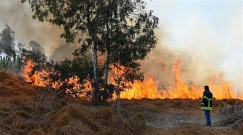 84 incendios forestales azotan el país alerta CONAFOR Átomos