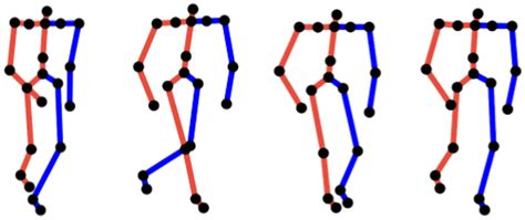 sample   human walking cycle progressing  left