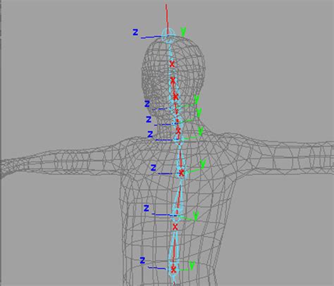 Building A Complete Human Character Rig In Maya