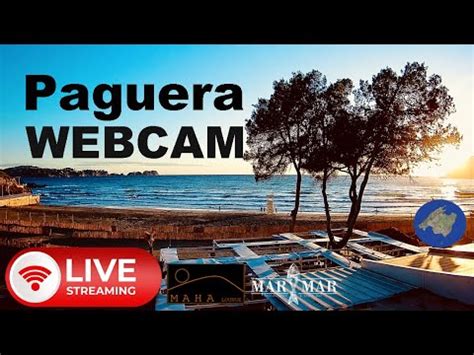 Webcam Paguera Beach En 4K UHD Live From Mallorca 24 7 Stream