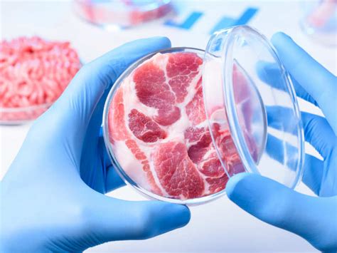 7 facts you MUST know about synthetic meat