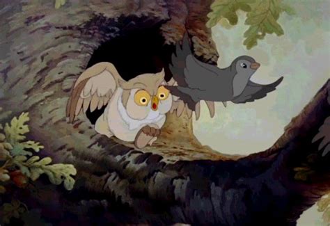 Disney Owls Are A Hoot Oh My Disney Disney Fun Owl Disney Films