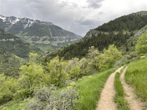 10 Best Trails and Hikes in Logan | AllTrails