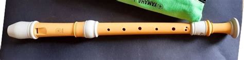 The Different Types of Recorder Instruments – Woodwind Breeze