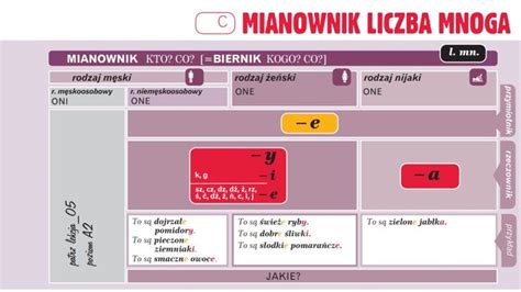 Mianownik Liczba Mnoga