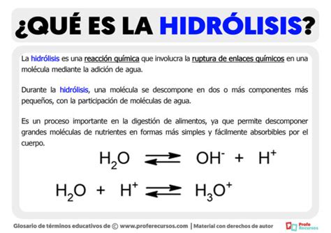 Qu Es La Hidr Lisis Definici N De Hidr Lisis