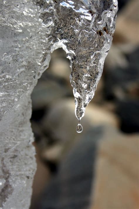 Melting Ice 1 Free Photo Download | FreeImages