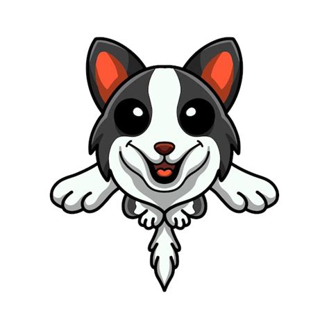 Lindo Border Collie Perro Dibujos Animados Saltando Vector Premium