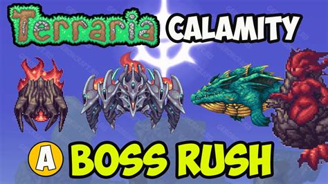 Terraria Calamity 1 4 4 9 HOW TO SPAWN BOSS RUSH BOSS RUSH START