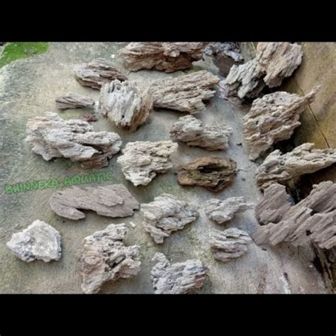 Jual Batu Pasir Sand Stone Aquascape Aquarium Kg Jakarta Barat