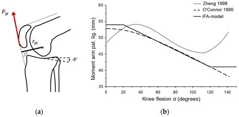 Applied Sciences Free Full Text Estimation Of Tibiofemoral And