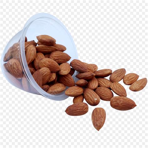 Almendra Cruda PNG Vectores PSD E Clipart Para Descarga Gratuita