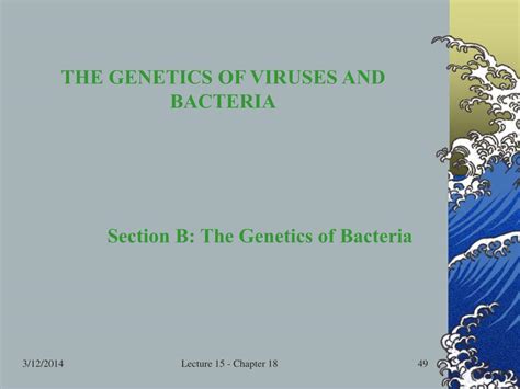 Ppt The Genetics Of Viruses And Bacteria Powerpoint Presentation Free Download Id439360