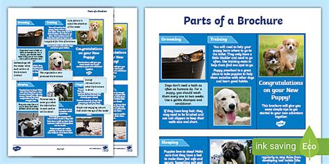 Parts Of A Brochure Comprehension Task Text Type Resources