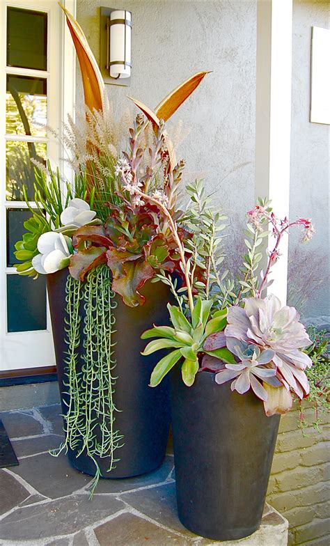 Large Succulent Arrangements — Flourish