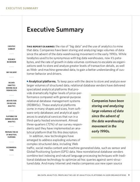 Executive Summary Template For Report Virginia Lambert