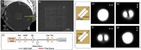 A And B Sem Images Of Top View Of A Fabricated Metasurface On The