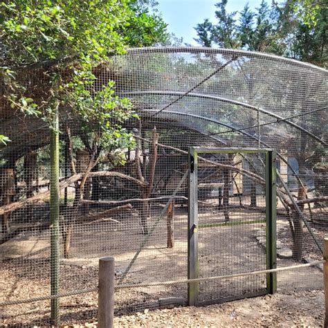 Galah Exhibit Zoo De Labenne 2023 Zoochat