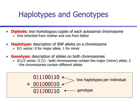 PPT ISBRA 2007 Tutorial A Scalable Algorithms For Genotype And