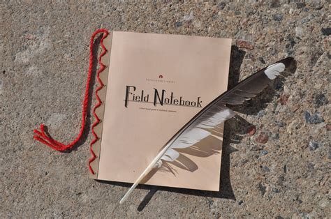 Field Notebook – CrowintheRain