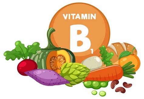 Grupo De Alimentos Frutas Y Verduras Que Contienen Vitamina B1 Vector