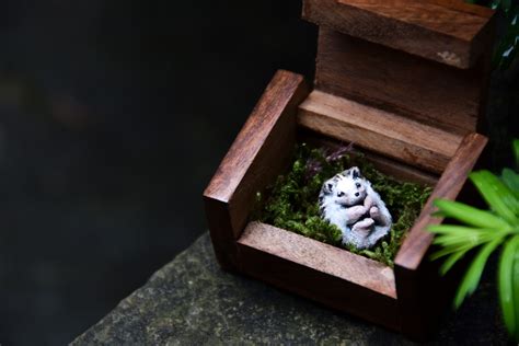 Miniature Hedgehog – Whatleys Wildlife