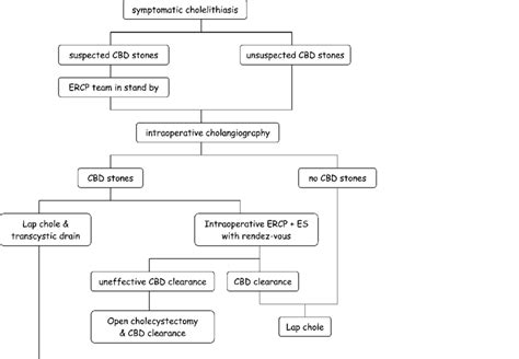 Choledocholithiasis Treatment