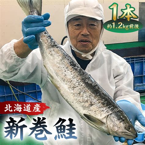 【楽天市場】【ふるさと納税】 新巻鮭1本（12kg前後・北海道産） 千葉県 南房総市 厳選 秋鮭 加工食品 昔ながら 山漬け まるごと 尾頭