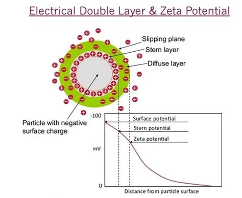 Difference Between Zeta Potential And Point Of Zero Charge ...