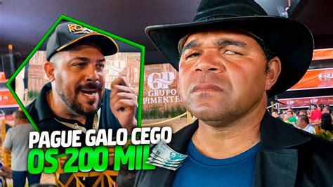 Colocaram Cavalo Caro Pro Galo Comprar Galo Cego Youtube