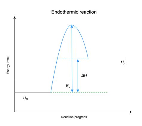Exothermic and endothermic reactions - Student Academic Success 