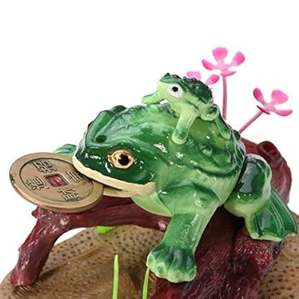 Frog Habitat Kit And Aquarium Set for Small Species