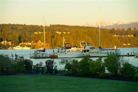 Meet Kori And Port Ludlows Seafaring Dog Port Ludlow Resort