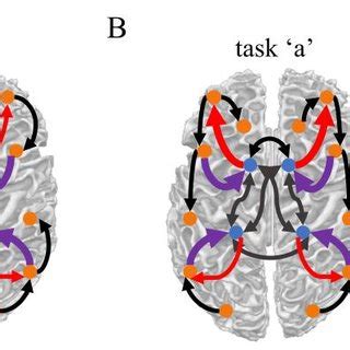 Brain Regions Are Classified As Rich Club Or Peripheral Regions