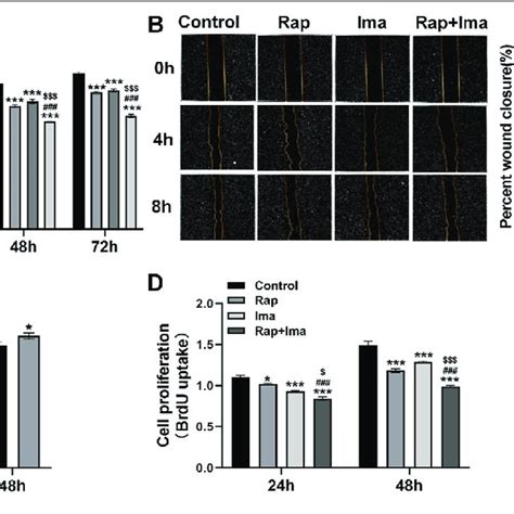 Effects Of Rapamycin Combined With Imatinib On The Viability