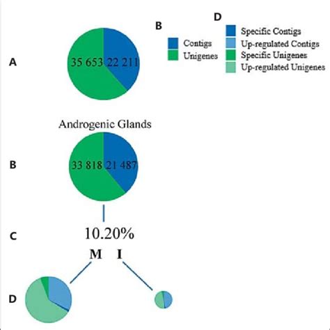 Scalar Depiction Showing Differential Expression Of Transcripts Between