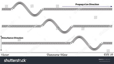 Transverse Wave Stock Vector (Royalty Free) 211651915 | Shutterstock