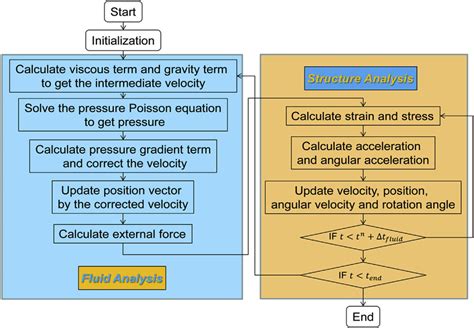 Computational Procedure Of A Numerical Algorithm For The FSI Simulation